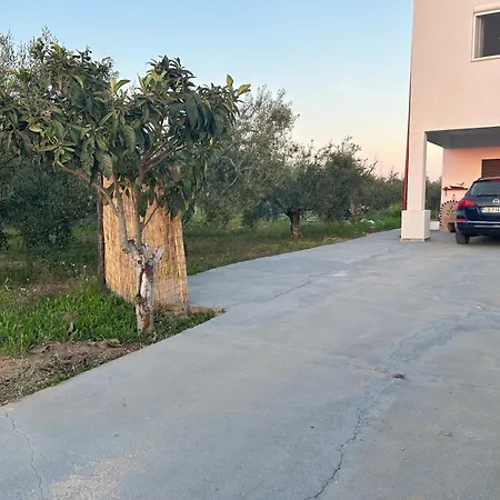 Blanca With Sea View *