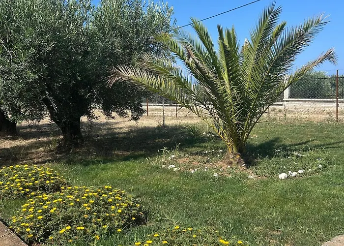 Blanca With Sea View Apartament